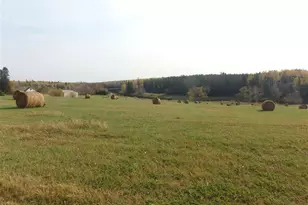 10705 Hwy 65, Gheen, MN 55771 - Photo 41