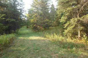 10705 Hwy 65, Gheen, MN 55771 - Photo 43