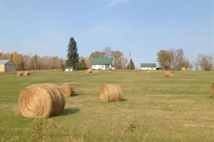 10705 Hwy 65, Gheen, MN 55771 - Photo 39