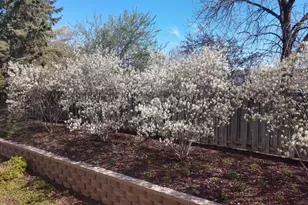 2449 Skyline Dr, Bloomington, MN 55425 - Photo 31