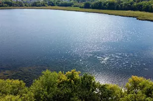 2735 Heron Ln, Victoria, MN 55386 - Photo 5