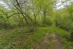 7630 County 15 Road SW, Stewartville, MN 55976 - Photo 43