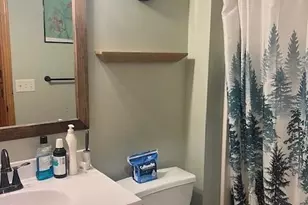 6066 259th St, Wyoming, MN 55092 - Photo 21