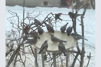 4506 Wentworth Avenue, Minneapolis, MN 55419 - Photo 33