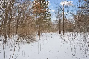 701 Parkview Ln, Champlin, MN 55316 - Photo 53