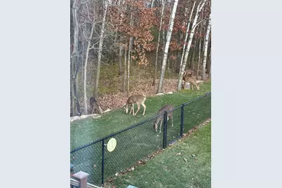 14545 Grand Oaks Drive, Baxter, MN 56425 - Photo 37