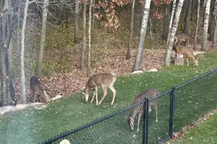 14545 Grand Oaks Dr, Baxter, MN 56425 - Photo 37