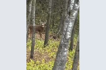 14545 Grand Oaks Drive, Baxter, MN 56425 - Photo 39