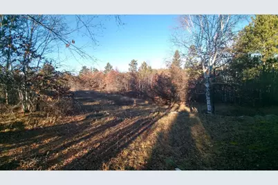50164 County 29, Bemidji, MN 56601 - Photo 29