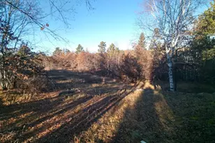 50164 County 29, Bemidji, MN 56601 - Photo 29