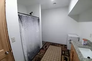 50164 County 29, Bemidji, MN 56601 - Photo 47