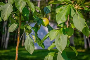 2955 St Onge Dr NE, Bemidji, MN 56601 - Photo 73