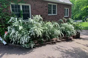 4017 Shoreline Dr, Robbinsdale, MN 55422 - Photo 47