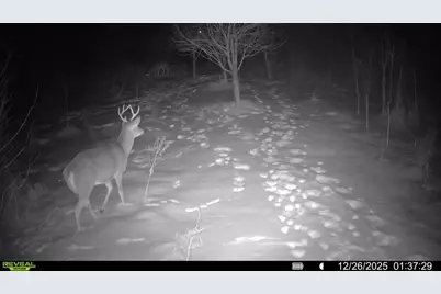 16921 Vickers Street NE, Andover, MN 55304 - Photo 53