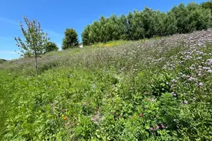 1106 Meadow Ln, Waconia, MN 55387 - Photo 49