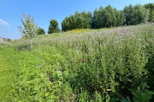 1106 Meadow Ln, Waconia, MN 55387 - Photo 51