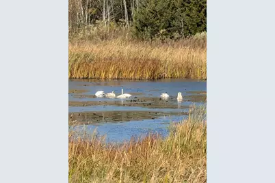 13966 346th Court, Lindstrom, MN 55045 - Photo 53