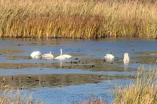 13966 346th Ct, Lindstrom, MN 55045 - Photo 53