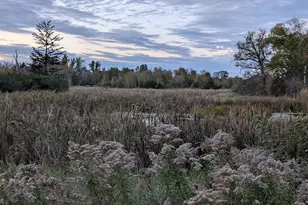 13966 346th Ct, Lindstrom, MN 55045 - Photo 55