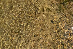 14125 Island Lake Road E, Lengby, MN 56651 - Photo 45