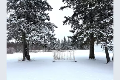 30400 650th Avenue, Warroad, MN 56763 - Photo 15