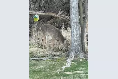 10765 Tamarack Circle NW, Coon Rapids, MN 55433 - Photo 25