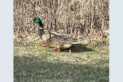 10765 Tamarack Circle NW, Coon Rapids, MN 55433 - Photo 21