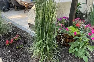 3424 Roosevelt St NE, Saint Anthony, MN 55418 - Photo 31