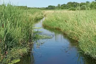 8421 156th Ln NW, Ramsey, MN 55303 - Photo 27