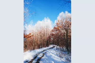 8421 156th Lane NW, Ramsey, MN 55303 - Photo 29