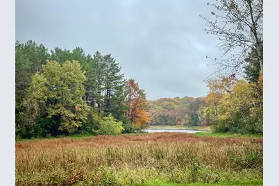 14169 Homestead Avenue N, Hugo, MN 55038 - Photo 3