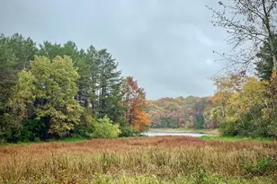 14169 Homestead Ave N, Hugo, MN 55038 - Photo 3