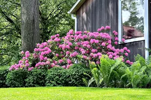 2700 Glenhurst Ave, Saint Louis Park, MN 55416 - Photo 63