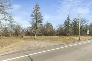 Tbd Dove Rd, Randall, MN 56475 - Photo 1