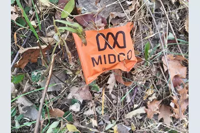 11200 Lake Point Drive, Chisago City, MN 55013 - Photo 13