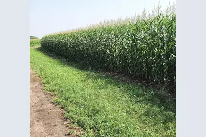 Tbd County 36, Long Prairie, MN 56347 - Photo 3