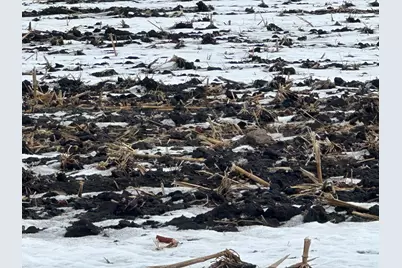 Tbd County 36, Long Prairie, MN 56347 - Photo 9