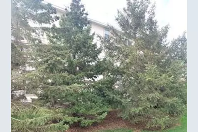 1595 Fox Hunt Way, Victoria, MN 55386 - Photo 3