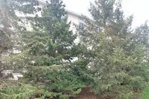 1595 Fox Hunt Way, Victoria, MN 55386 - Photo 3