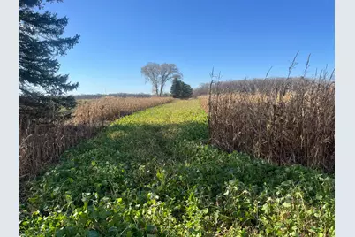 Tbd County Road 3, Saint Joseph, MN 56374 - Photo 5