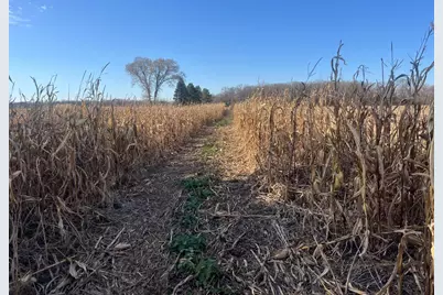 Tbd County Road 3, Saint Joseph, MN 56374 - Photo 9