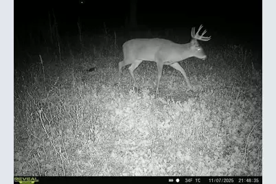 Tbd County Road 3, Saint Joseph, MN 56374 - Photo 21