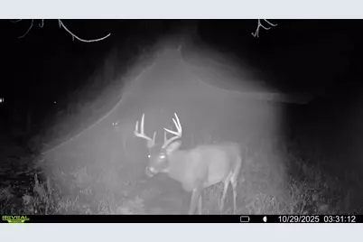 Tbd County Road 3, Saint Joseph, MN 56374 - Photo 25