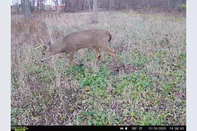 Tbd County Road 3, Saint Joseph, MN 56374 - Photo 27