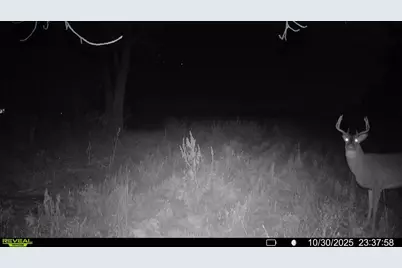 Tbd County Road 3, Saint Joseph, MN 56374 - Photo 23