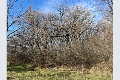 Tbd County Road 3, Saint Joseph, MN 56374 - Photo 15