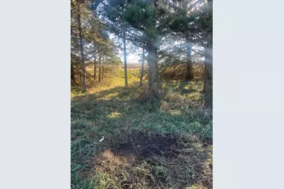 Tbd County Road 3, Saint Joseph, MN 56374 - Photo 7