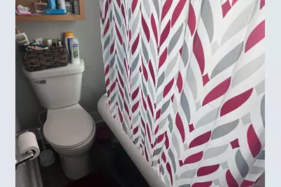 253 Richmond Street, Saint Paul, MN 55102 - Photo 11