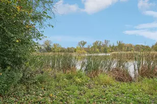 324 Heritage Trail, Circle Pines, MN 55014 - Photo 37