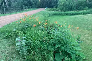 22061 Camber Ave, Jordan, MN 55352 - Photo 37